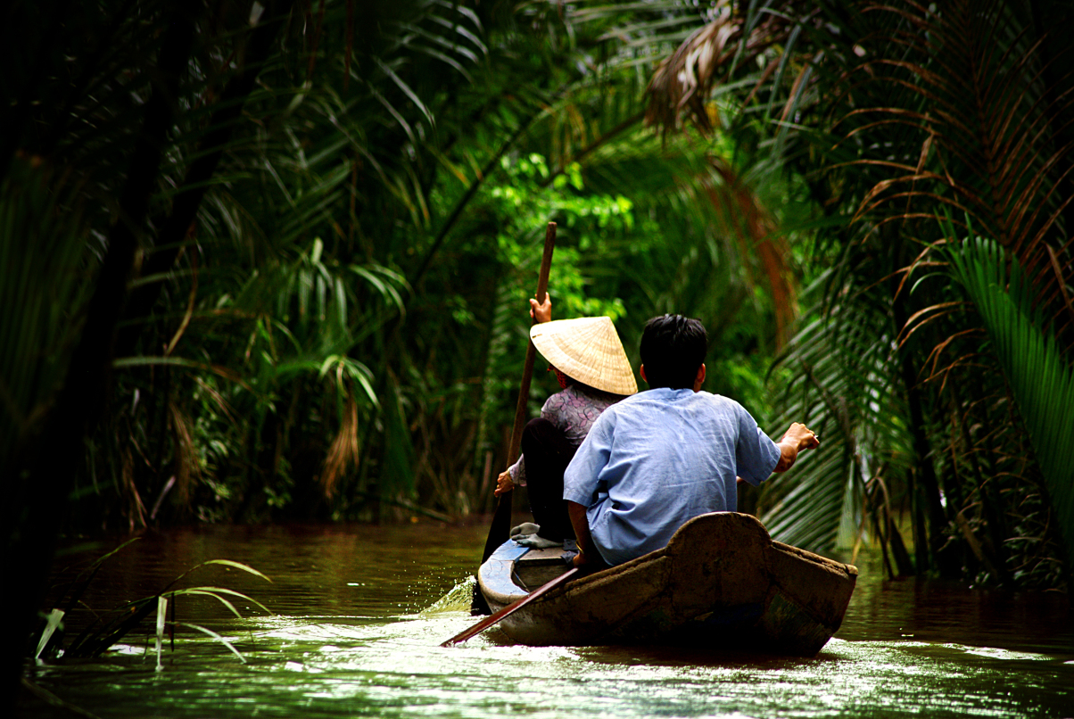 Woman paddling in the forest, Mekong Delta, Vietnam