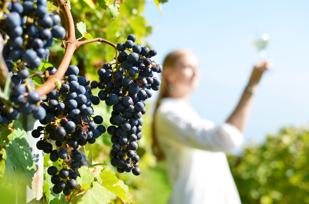 Women is tasting wine at the vineyard