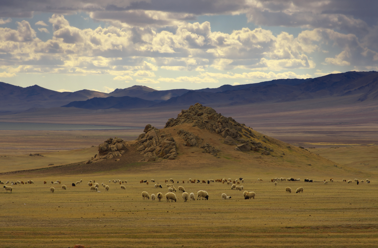 Mongolia