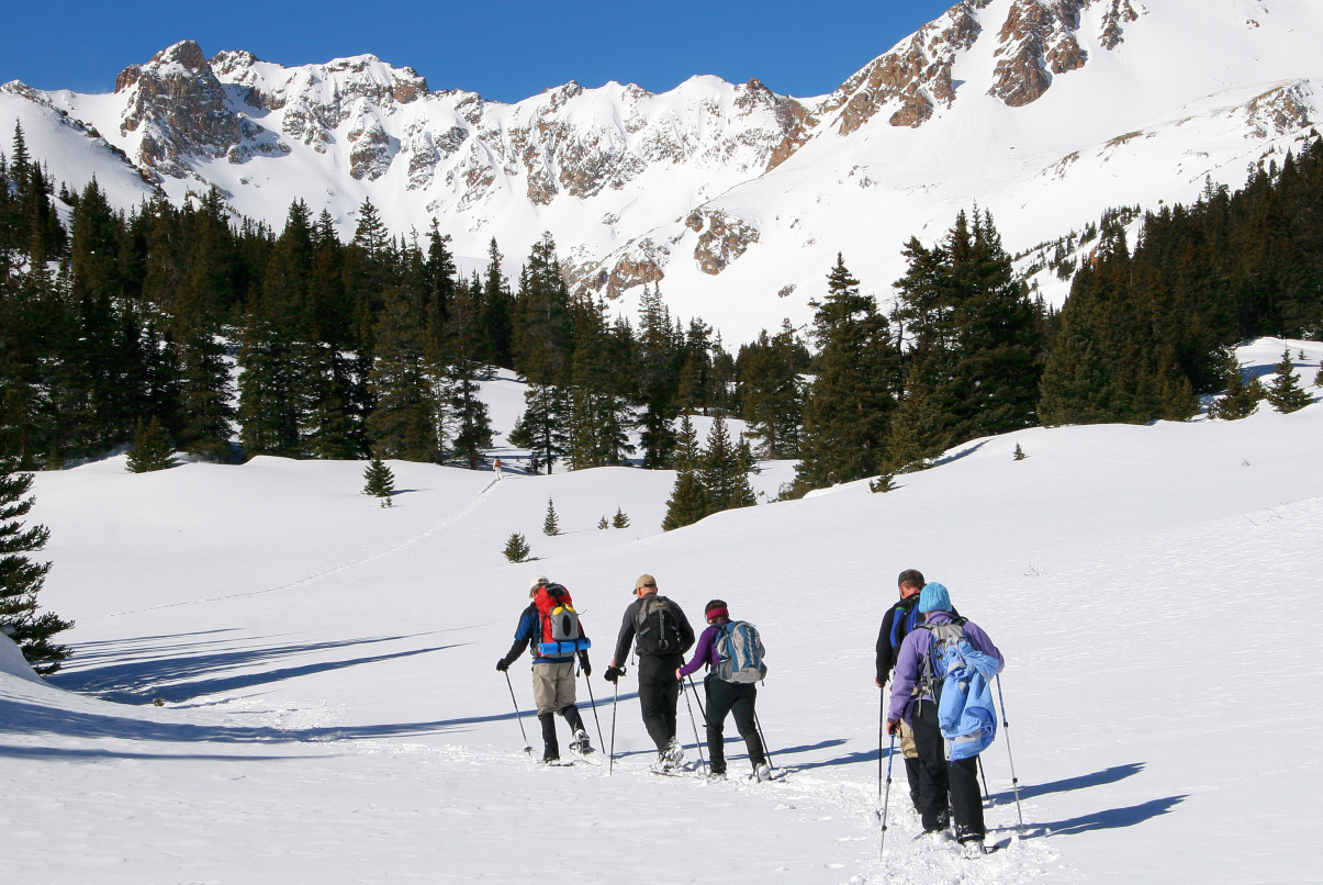 The Colorado Snowshoeing Adventure from Denver for Two